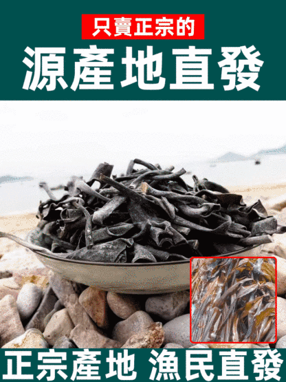 特厚特級新貨海帶頭蒂