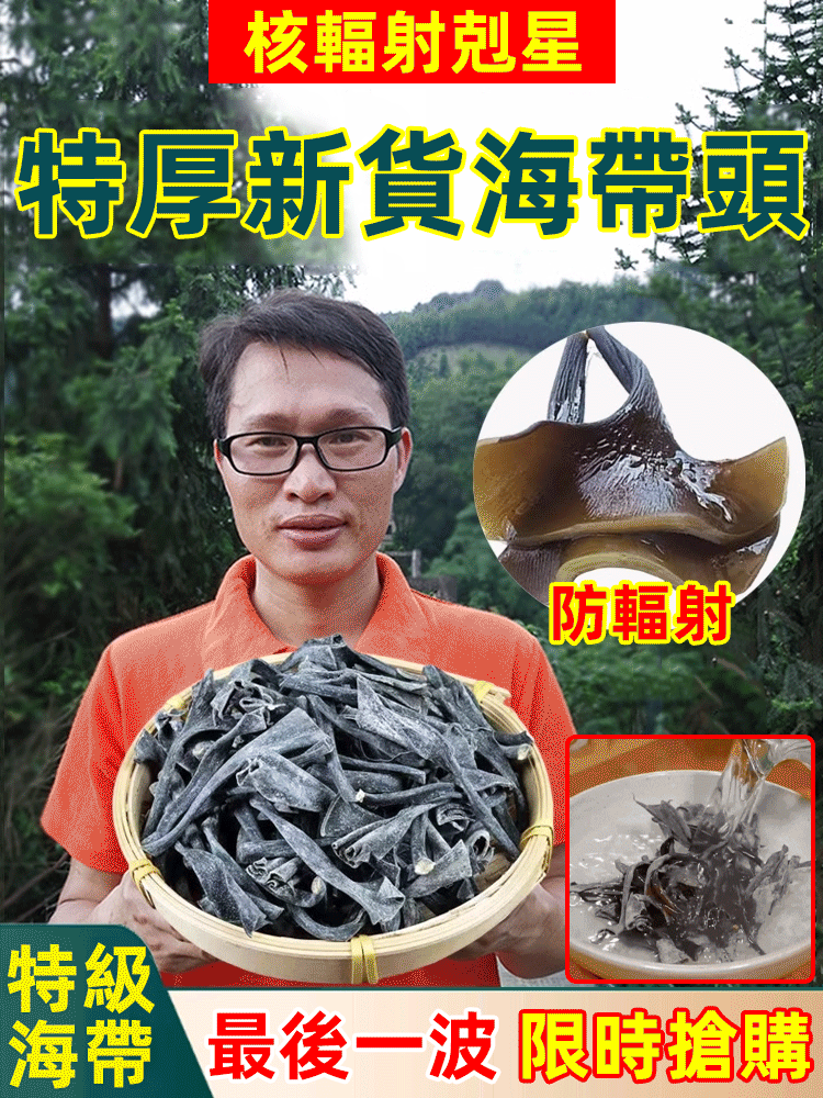 特厚特級新貨海帶頭蒂