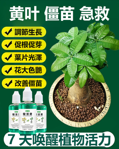 植物復活液