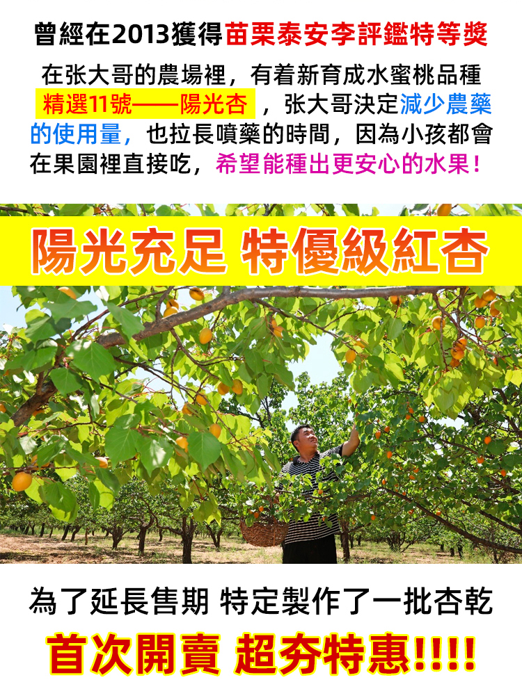 詳情頁_05.jpg