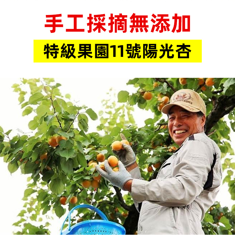 詳情頁_04.jpg