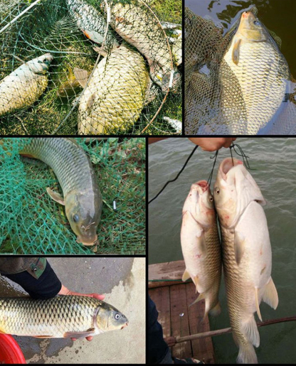 【爆護21件套裝】伸縮折疊釣竿