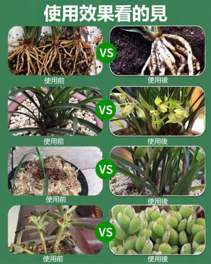 植物復活液