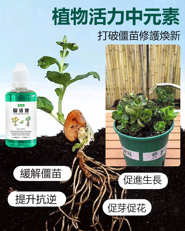 植物復活液