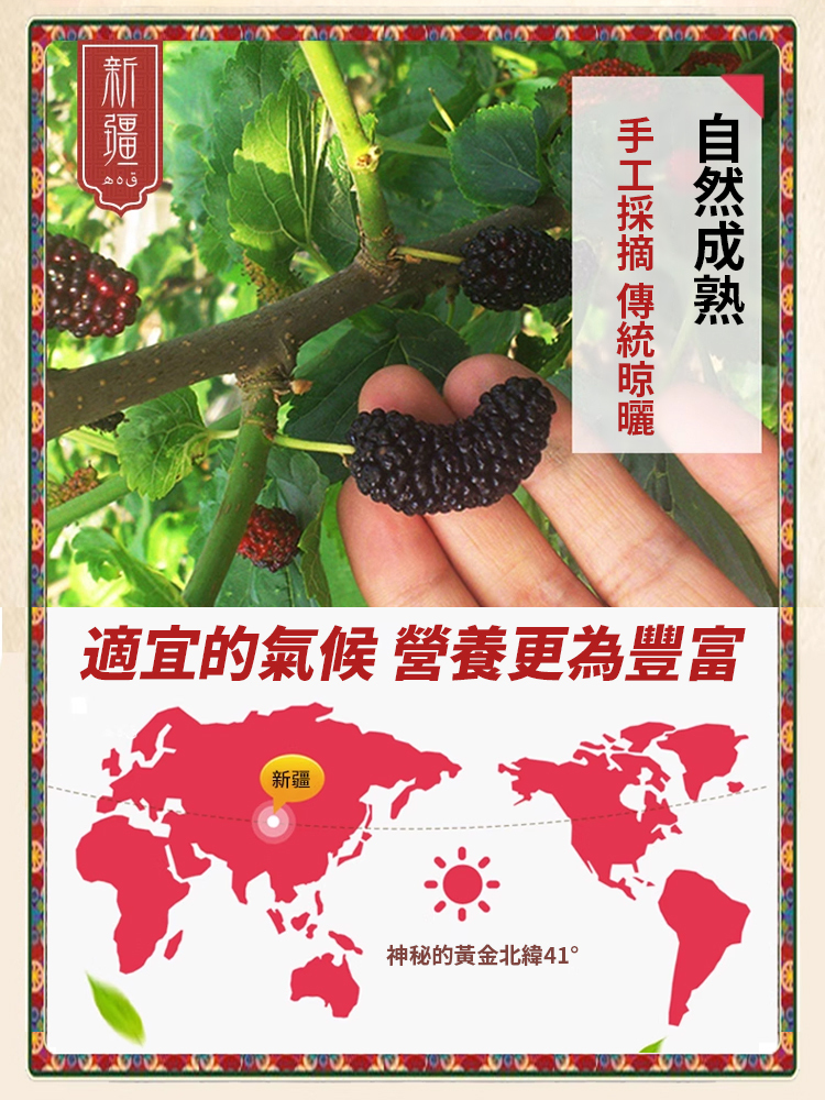 正宗原產新疆特級桑葚乾
