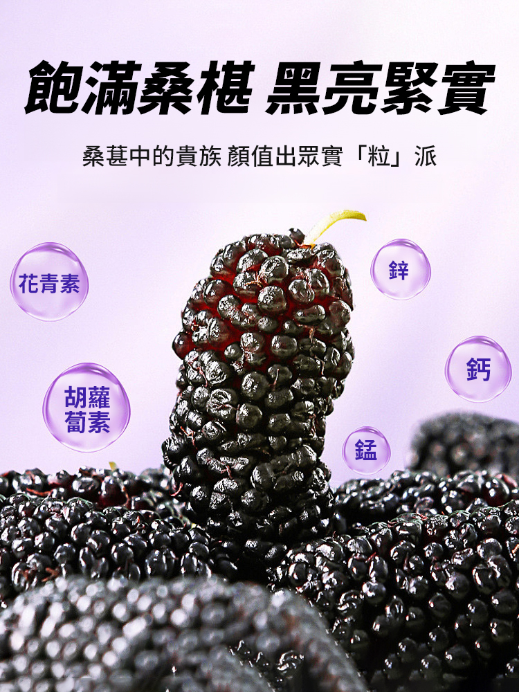 正宗原產新疆特級桑葚乾
