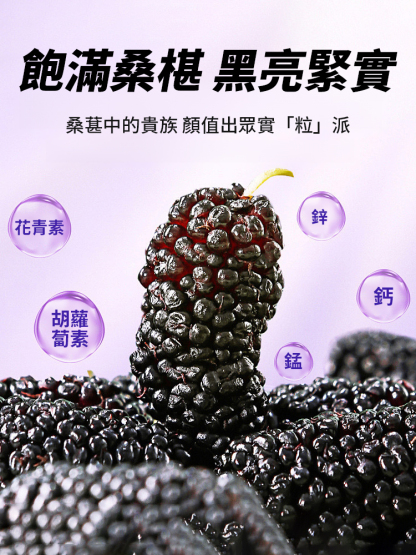 正宗原產新疆特級桑葚乾
