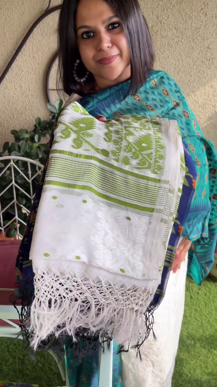 Multicolor cotton saree with blouse