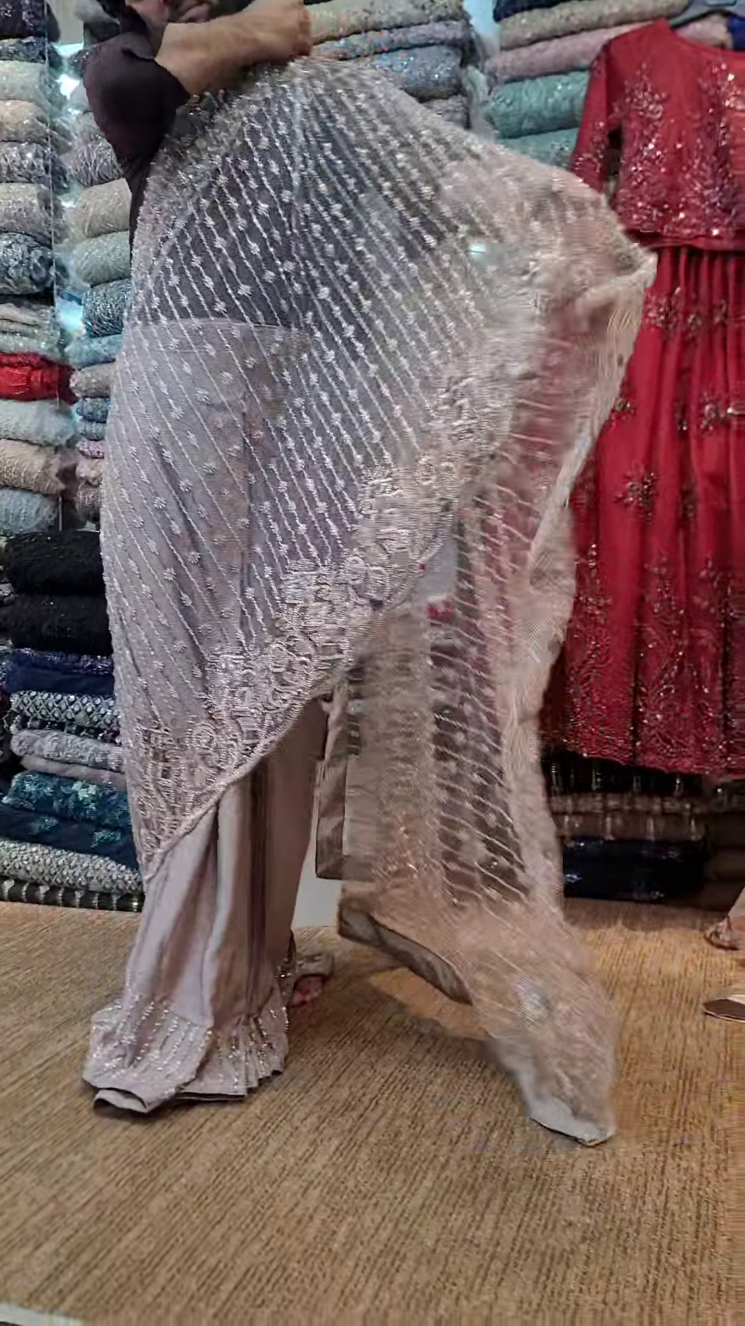 Elegant Chikku Net Saree with Intricate Design