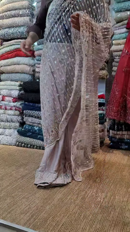 Elegant Chikku Net Saree with Intricate Design