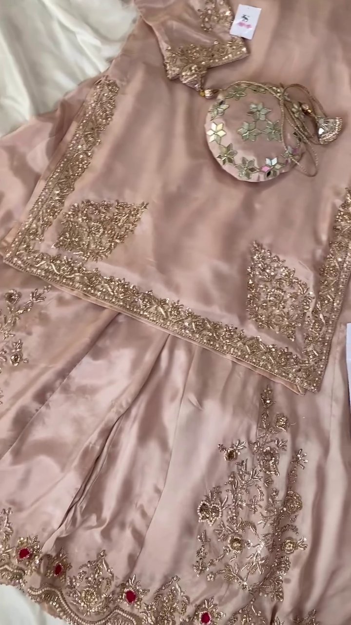Nude-Gold Pittan Border Salwar Suit – A Regal Ensemble of Subtle Elegance