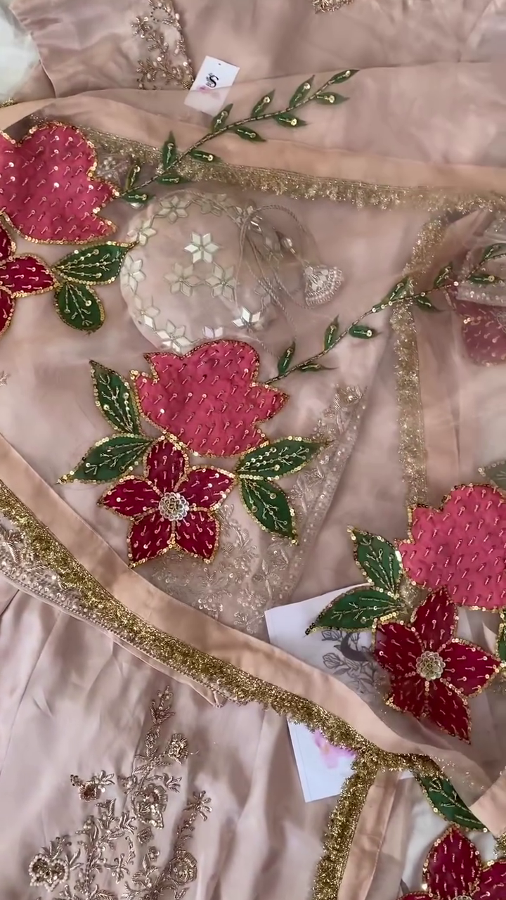 Nude-Gold Pittan Border Salwar Suit – A Regal Ensemble of Subtle Elegance