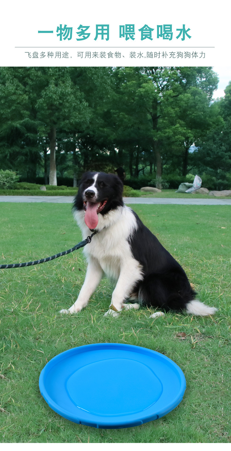 [SG TOYS] Premium Quality Dog Frisbee Pets Flying Disc DOG-O-SOAR Bite Resistant Floatable Pets Training Tool-HOMA