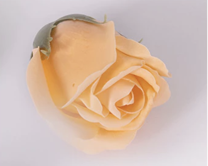 [SG] 3-Layer Thickened Rose Top Soap Flower DIY Artificial Flower Gift Choice 520 Mother's Day Birthday Wedding Girlfrie-HOMA