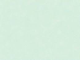 [SG] Pets Eating Double Bowl Plastic Candy Color for Dogs Cats Round Dog Food Cat Food Double Bowls-HOMA