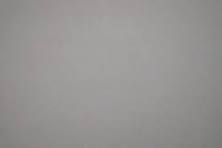 [SG] Pets Eating Double Bowl Plastic Candy Color for Dogs Cats Round Dog Food Cat Food Double Bowls-HOMA