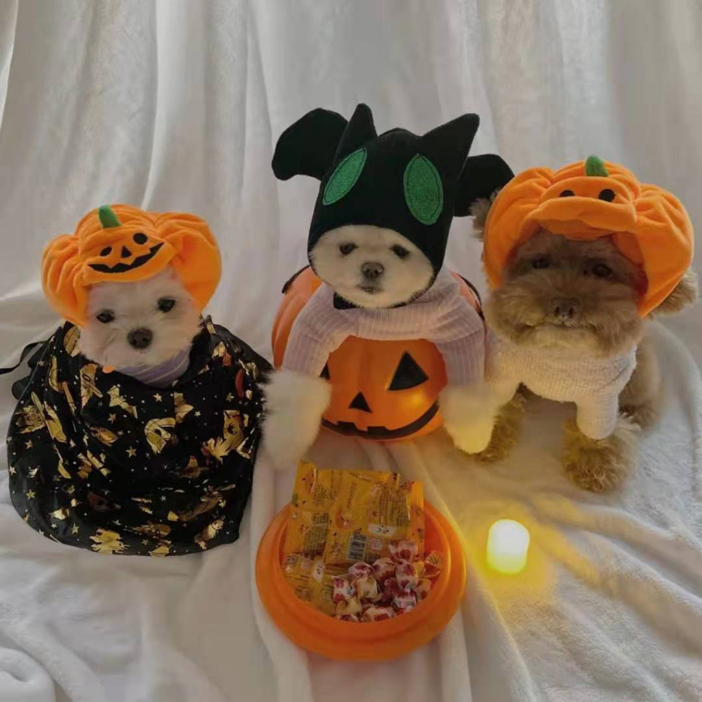 [SG] Pets Halloween Pumpkin Hat for Cat Dog Decoration Ornaments Funny S L Cute Pumpkin Hat Party Decoration-HOMA