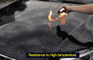 5.gif