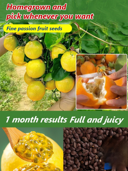 【Vitamin C King】Colombian Golden Passion Fruit Seeds