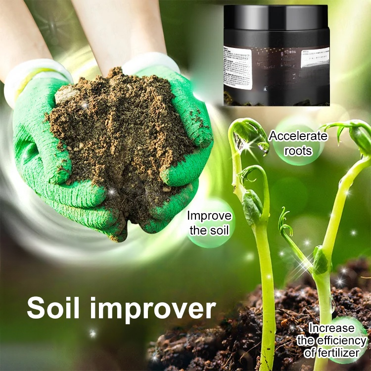 Microbial soil activator for soil improvement