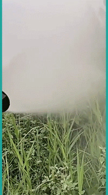 1 (9).gif