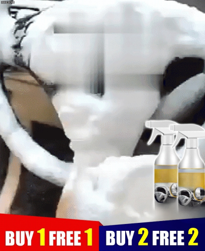 Germany Rayhong car interior foam refinisher cleaner