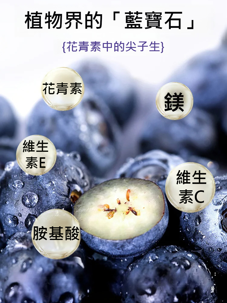 大容量藍莓乾
