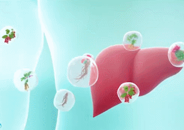 f8609c7d1ec99dc1ced48ff203064d45.gif