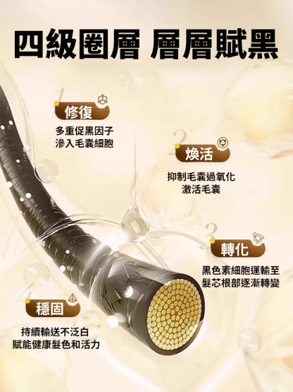 草本配方內外調理靈芝烏黑片