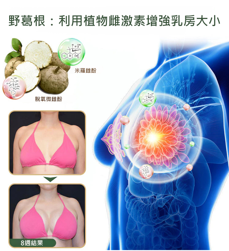 台币_25.jpg