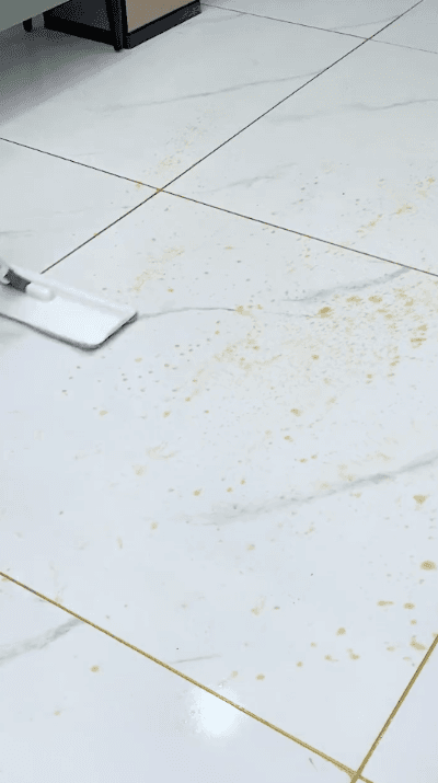 Honeycam 2025-03-18 17-09-20.gif