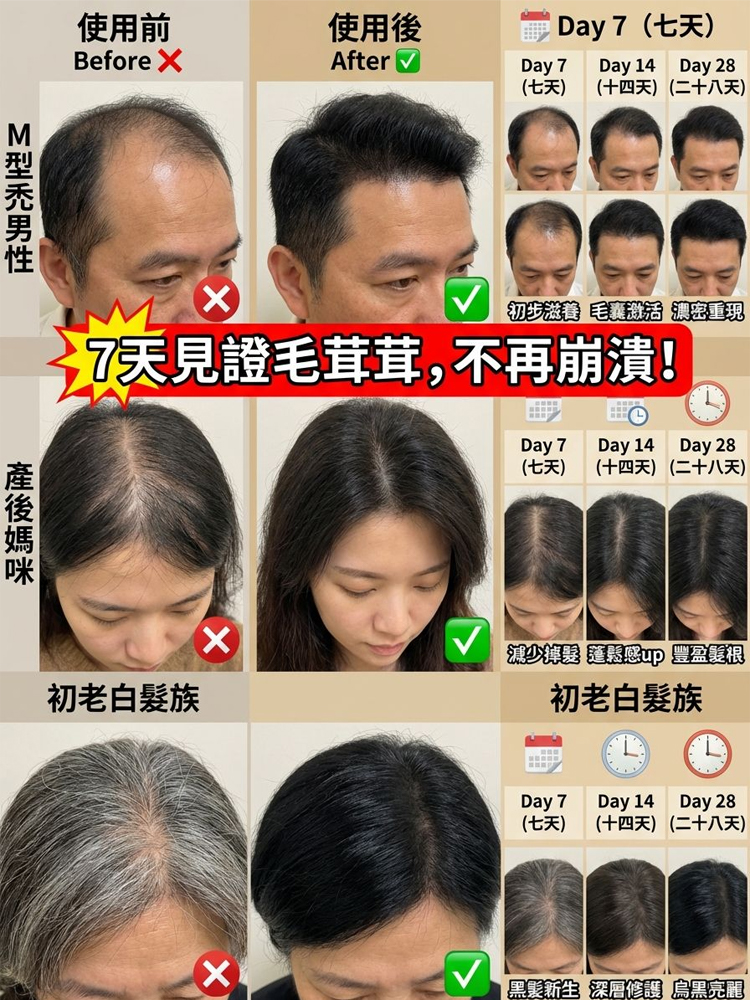 烏斯曼草側柏葉洗髮精