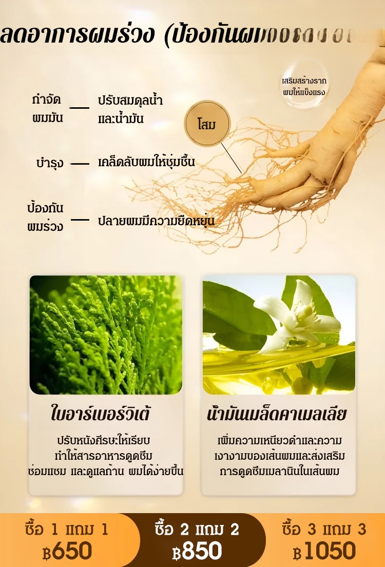 [สมุนไพรบำรุงเส้นผม] แชมพูป้องกันผมร่วง