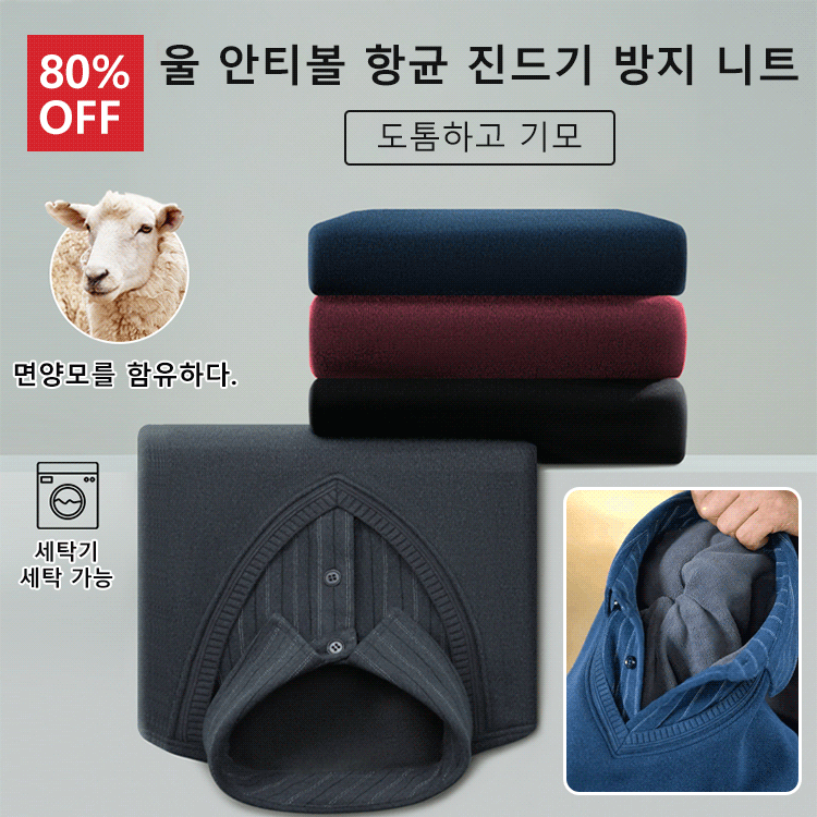 셔츠카라 니트