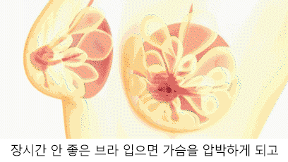 1617068004831213.gif