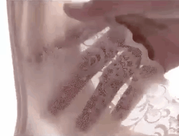 1591776302353837.gif