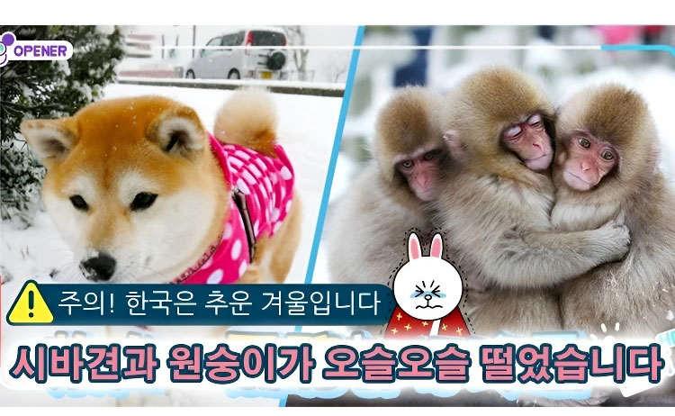 1_03.jpg