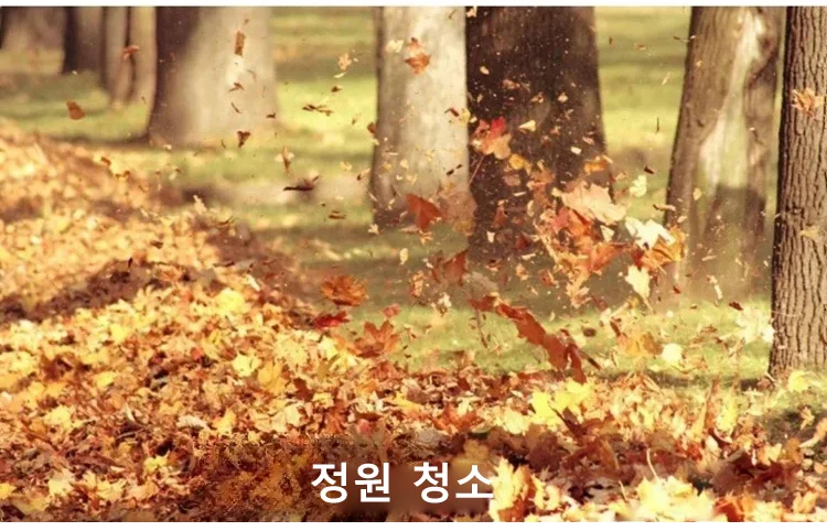未标11题-1_12.png