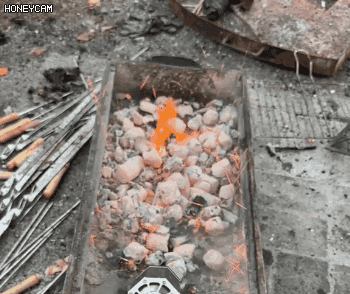 未标11题-1_13.gif