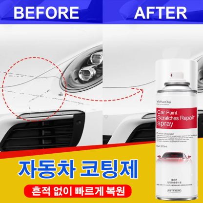 자동차 코팅제