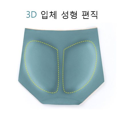 하이웨스트 보정 팬티