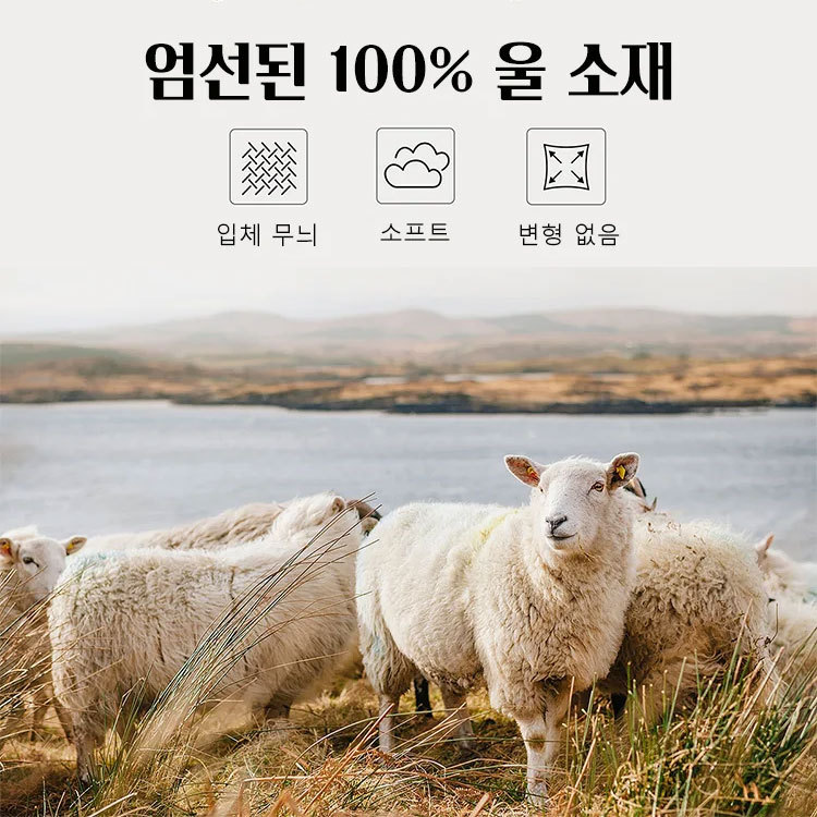 남성 셰니르 기모 스웨터