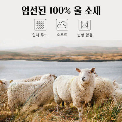 남성 셰니르 기모 스웨터