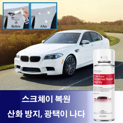 자동차 코팅제