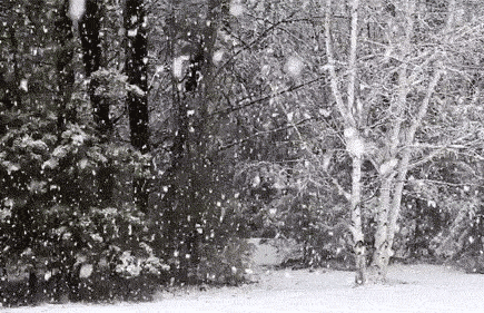 1_05.gif