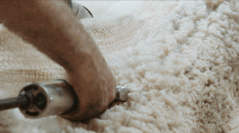 O1CN01G87lZK1t1gIIvjPIC_!!78495842.gif