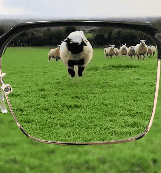 d26573cecc5d446a2bf3cc3948693399.gif