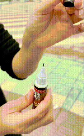 01.gif