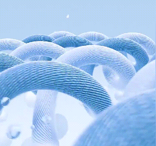 20240808_092827_109.gif