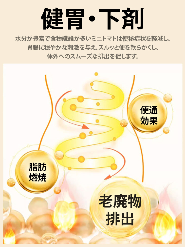 【熊本県直送】ドライミニトマト